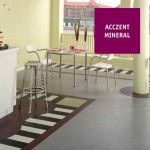 ACCZENT PRO (Акцент Про)