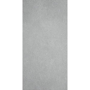 Керамогранит SG207900R Дайсен светло-серый 30х60 обрезной